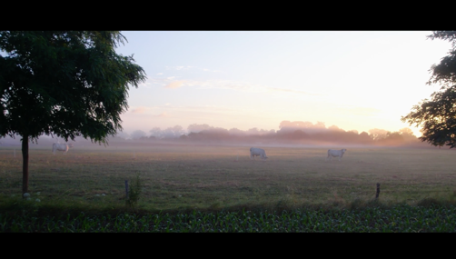 Paysage de campagne au lever du jour