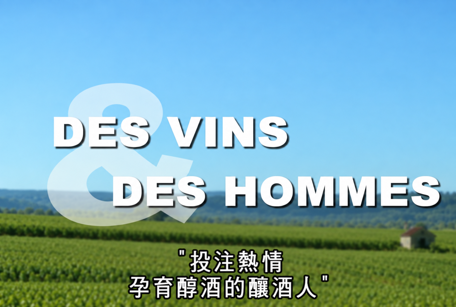 Générique du programme Des Vins et des Hommes